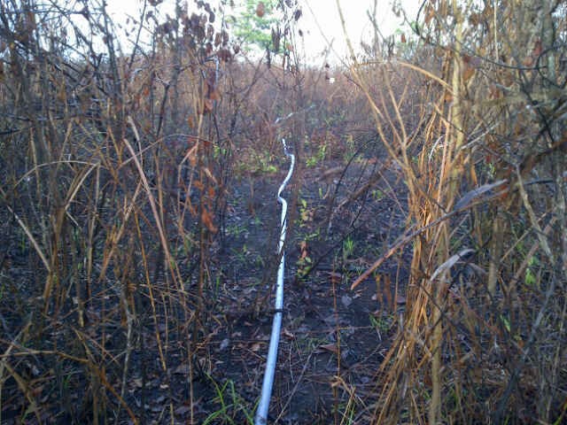 Selain Pertamina, Proyek Chevron di Sumsel-Riau Jadi Sasaran Pencurian Minyak