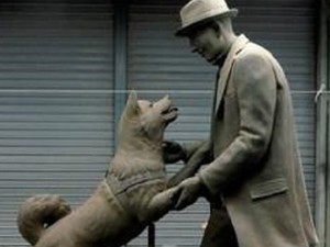 Hore! Hachiko Akhirnya Reuni dengan Sang Pemilik