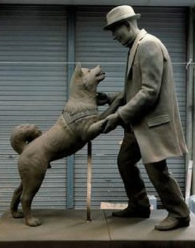 Hore! Hachiko Akhirnya Reuni dengan Sang Pemilik