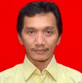 Sinar Mas Tak Sepenuhnya Melakukan Perbaikan