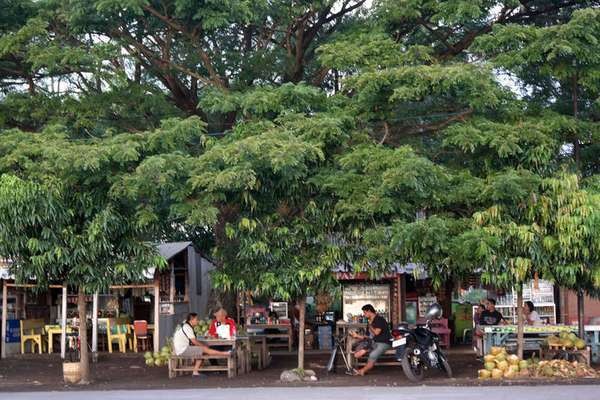 Ini Keren! Banyuwangi Gelar Festival Toilet Bersih