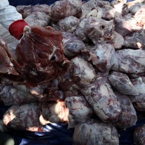 Karantina Pertanian Sorong Musnahkan 11 Ton Daging Terkontaminasi Bakteri