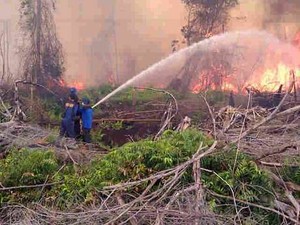 Riau Mulai Diselimuti Asap dari Kebakaran Hutan
