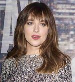 Fifty Shades of Silver Dakota Johnson