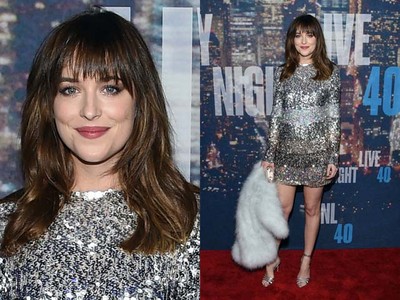 Fifty Shades of Silver Dakota Johnson
