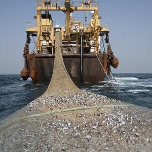 Bergaji Rp 7 Juta/Bulan, Para Ujung Tombak Anti Pencurian Ikan Sering Digoda