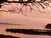 Sisa-sisa Gunung Tambora Sisa-sisa Gunung Tambora