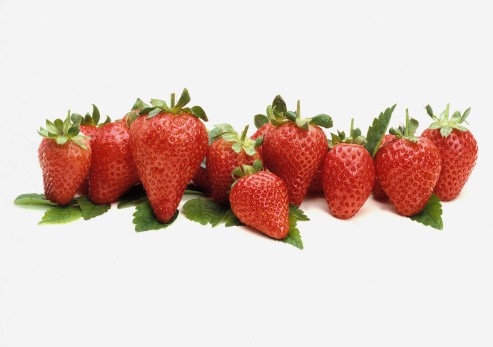 Sering Membuang Daun Kol Bagian Luar? Bagian Tersebut Justru Paling Kaya Nutrisi!