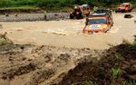 Jeep Wrangler Beraksi Ala Badak di Hutan Berlumpur
