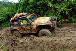 Jeep Wrangler Beraksi Ala Badak di Hutan Berlumpur