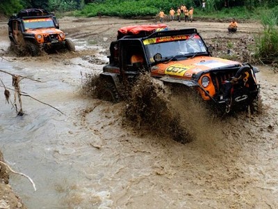 Jeep Wrangler Beraksi Ala Badak di Hutan Berlumpur
