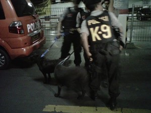 2 Anjing Pelacak Sisir ITC Depok