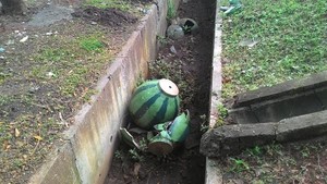 Baru Dipasang, Tong Sampah Animasi di KBT Berakhir Hancur di Got