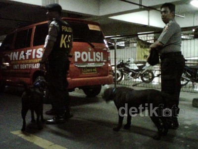 Anjing Pelacak Sisir ITC Depok