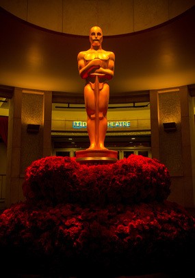 Nominator Oscar 2015 yang Kalah Juga Akan Dapat Vibrator