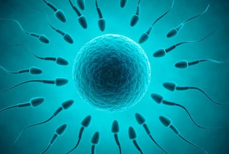 Ini yang Dibutuhkan Pria untuk Meningkatkan Kualitas Sperma