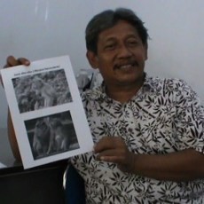 BKSDA Jember Pastikan Kera yang Melukai Warga adalah Kera Abu-abu