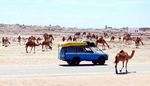 Pasutri Ini Keliling Dunia dengan Land Cruiser