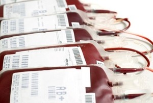 Diet Golongan Darah Sedang Ngetrend, Begini Tanggapan Dokter Gizi