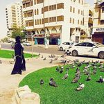 Julia Perez Bercadar Hitam