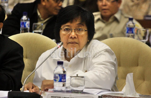 Menteri Kehutanan Sebut Pelaku Illegal Loging Setingkat Teroris