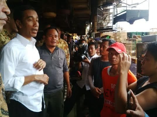 Ketika Jokowi Tawar Menawar Burung Jalak Di Pasar Burung Pramuka