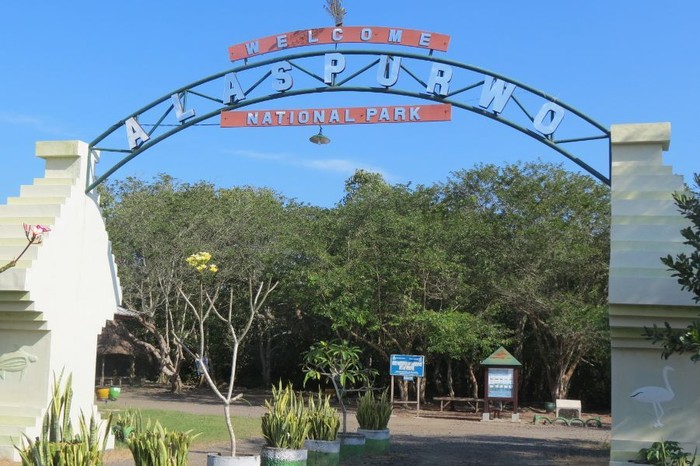 Kemenpar Akan Promosi Banyuwangi Bareng Bali