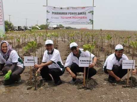 TMMIN Hijaukan Pantai Utara Jawa