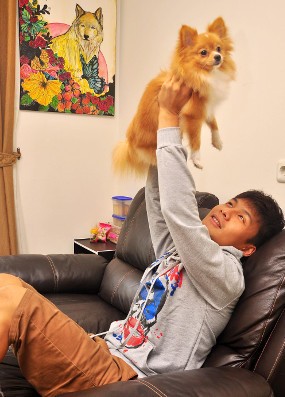 Kisah Lukisan Anjing Pemberiaan Kekasih Korea Fendy Chow