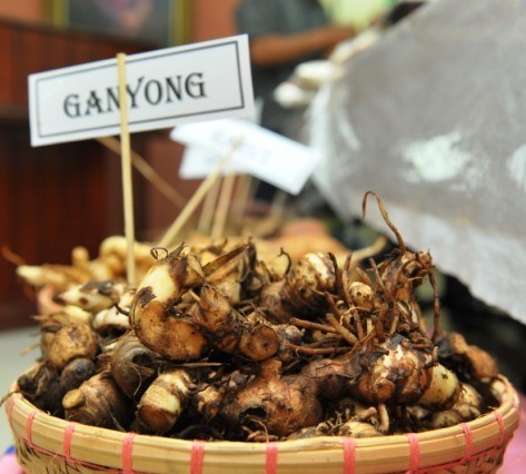 Ganyong dan Kentang Hitam Sumber Karbohidrat Kaya Nutrisi