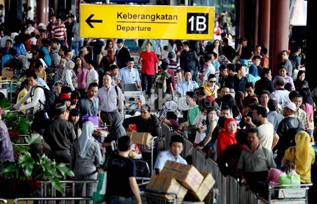 Calo Masih Bebas Berkeliaran di Soekarno-Hatta, Ini Janji Bos AP II