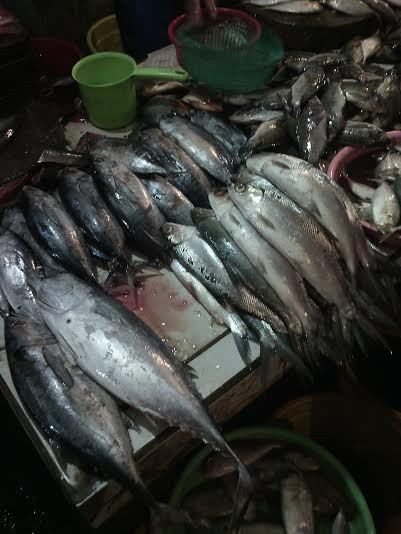 Pasokan Terbatas, Harga Ikan Bandeng dan Mas di DKI Melonjak 20%-30%