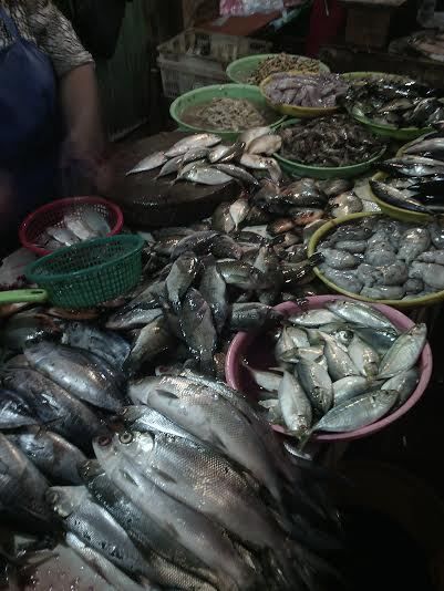 Harga Ikan Kembung dan Cumi di DKI Naik 20%, Ini Penyebabnya