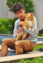 Fendy Chow dan Anjing Pomerania Kesayangannya