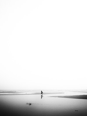 1/5000secs