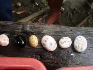 Penjual Batu Akik di Nusakambangan Menyeruak di Kesibukan Eksekusi Mati