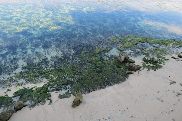 Ajaib, Pantai di Bali Ini Bisa Menghilang