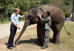 Pangeran William Kunjungi Konservasi Gajah di Tiongkok