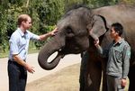 Pangeran William Kunjungi Konservasi Gajah di Tiongkok