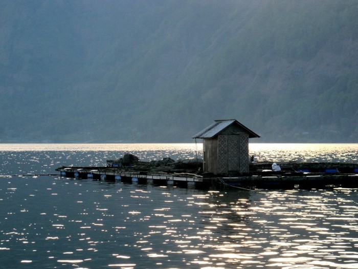 Yang Asli dan Asri di Bali: Danau Batur di Kintamani