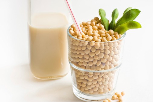 Susu Kedelai Mampu Turunkan Kadar Kolesterol Darah dan Cegah Osteoporosis (2)