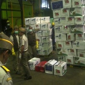 Importir Angkat Tangan, Apel Impor AS Berbakteri Mematikan Dibakar