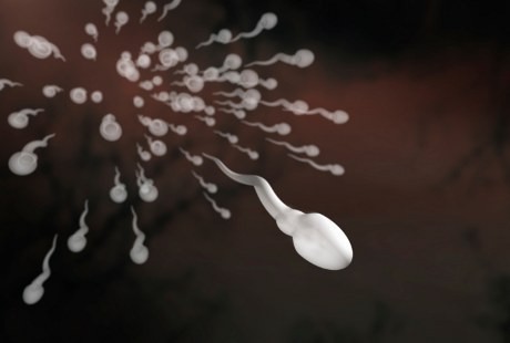 Sperma Bisa Lebih Kuat, Cepat dan Subur Hanya dengan 4 Trik Ini