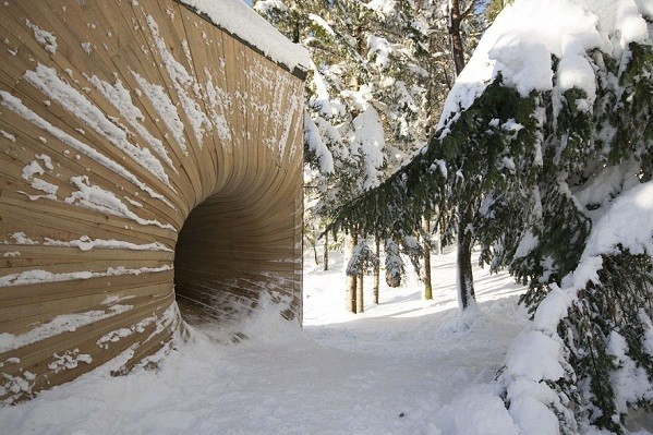 Ada Lubang Black Hole di Hutan Norwegia