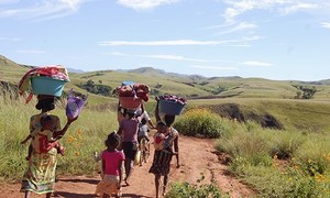 Dari Indonesia Bagian Mana 28 Perempuan Nenek Moyang Orang Madagaskar?