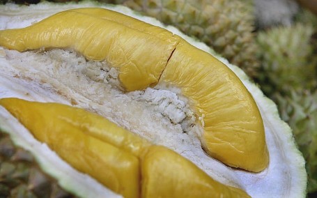 Malaysia Punya Durian Udang Merah dan D24 yang Lezat