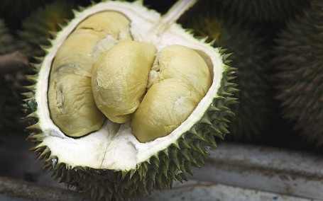 Malaysia Punya Durian Udang Merah dan D24 yang Lezat Malaysia Punya Durian Udang Merah dan D24 yang Lezat