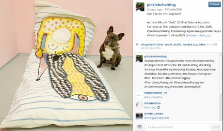 Lucunya! Anjing Bulldog Jadi Ikon Pameran Seni