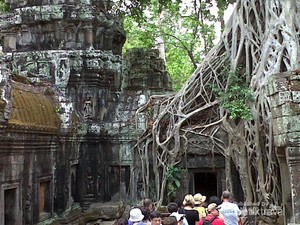 Wisata Purbakala Ala Indiana Jones & Lara Croft, Seru!