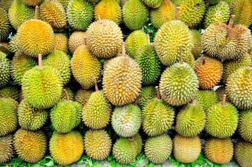 Bokor, Lai dan Gundul, Durian Eksotik Khas Indonesia (1)